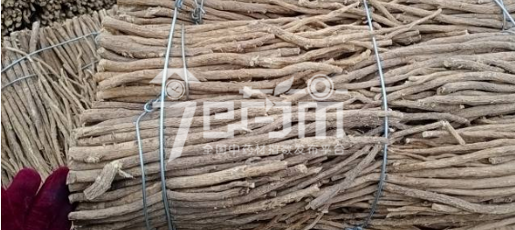 岷县药材市场20元/kg成交的黄芪股子