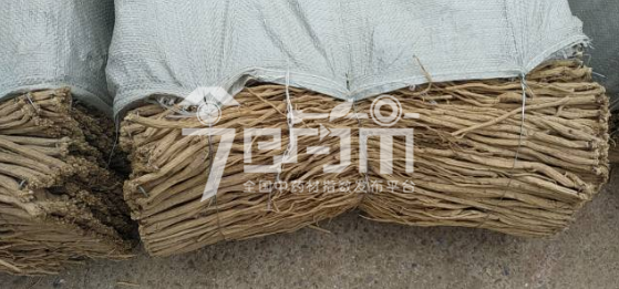 渭水源药材市场64元/kg成交的党参长条