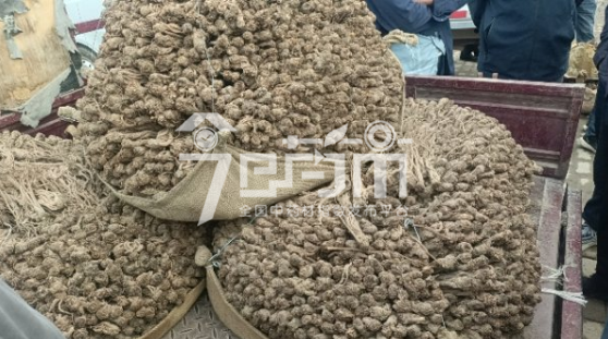 岷县药材市场售价135元/kg，给价130元/kg的当归药厂货