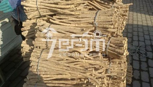 岷县药材市场45元/kg成交的黄芪节子