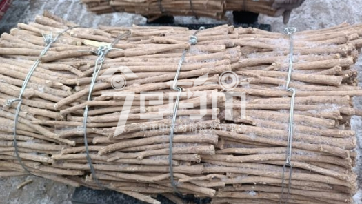 岷县药材市场45.5元/kg成交的黄芪节子