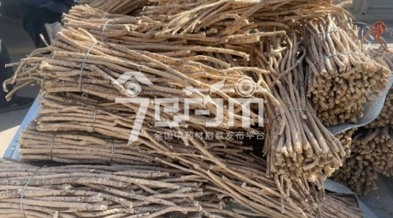 首阳中药材市场26元/kg成交的黄芪节子
