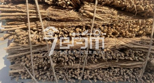 首阳中药材市场给价22.8元/kg的毛芪