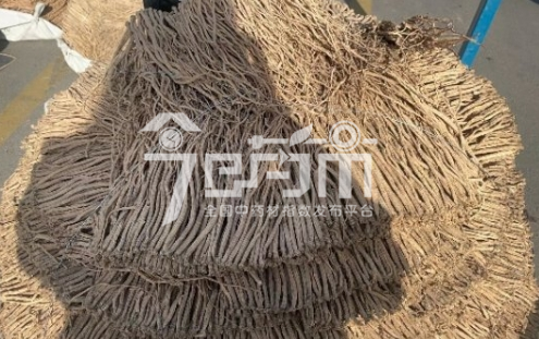 首阳中药材市场125元/kg成交的党参