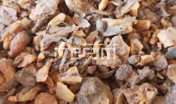 安息香药膳食谱