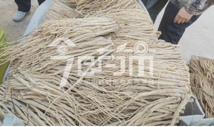 渭水源药材市场131元/kg成交的党参(有硫)