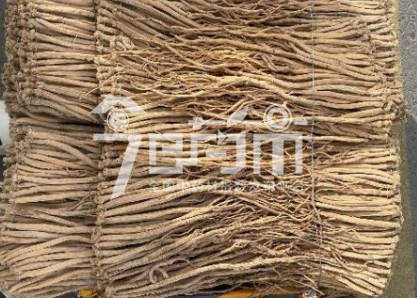 首阳中药材市场150元/kg成交的党参
