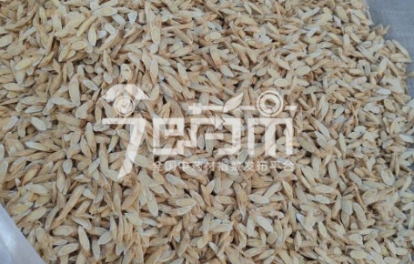 岷县药材市场31.5元/kg成交的黄芪片