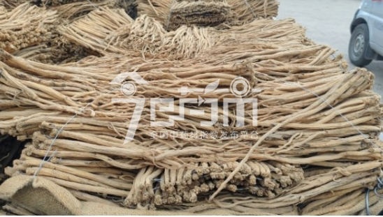 岷县药材市场售价149元/kg，给价148元/kg的党参