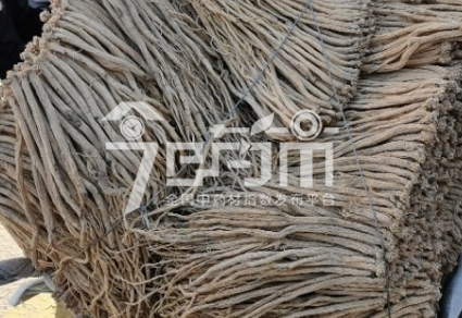 首阳中药材市场127元/kg成交的党参