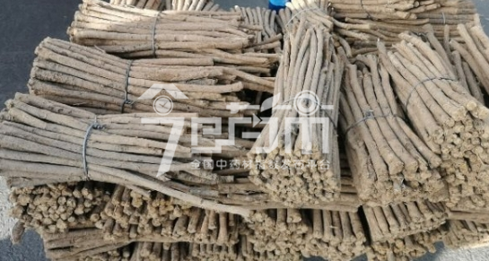 首阳中药材市场35.6元/kg成交的黄芪节子