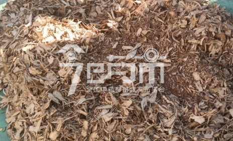 岷县药材市场售价98元/kg，给价92元/kg的当归全归片