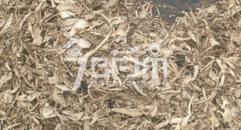 岷县药材市场93元/kg成交的当归全归片