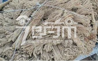 岷县药材市场38元/kg成交的当归股子