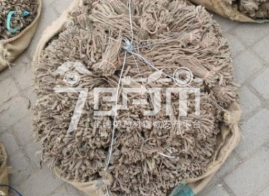 岷县药材市场给价31元/kg的当归个子