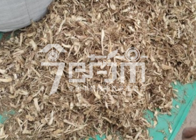 岷县药材市场45元/kg谈妥验货的当归全归片