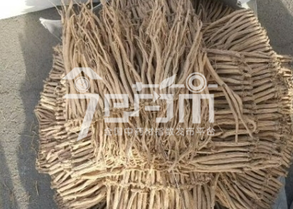 首阳中药材市场112元/kg成交的党参