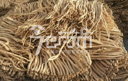 首阳中药材市场84元/kg成交的党参