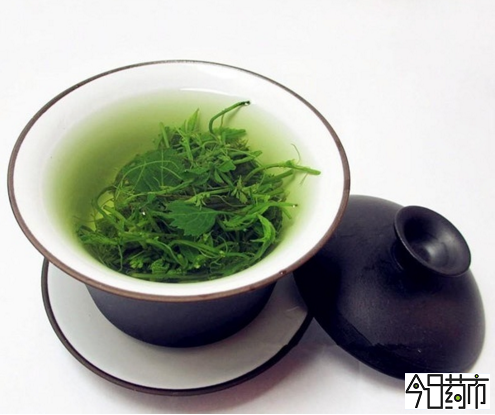 绞股蓝茶图片