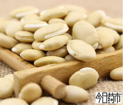 药材白扁豆图片