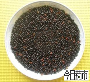 花椒种子图片